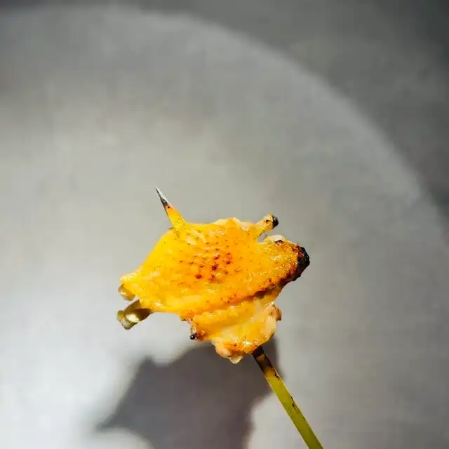 手羽先 / Tebasaki (Chicken Wing)